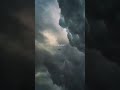 #naturelovers #naturesounds #art