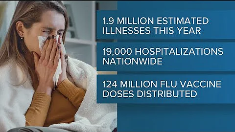 A look at flu season so far