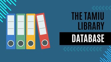 The TAMIU Library Database