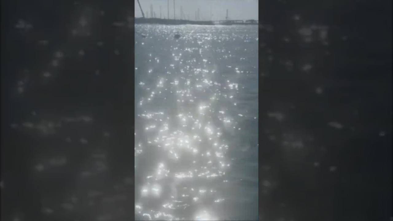 ⁣Sea Stars..       #floridakeys #boatlife #travel #sailing