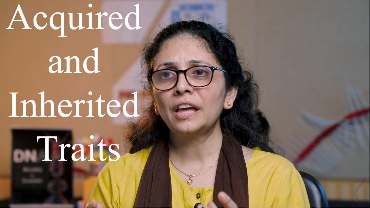 Acquired and Inherited Traits | English - YouTube