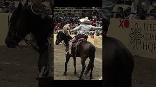 3 de 3 Manganas a Caballo - Perron QH - Campeonato Millonario THV 2022 #shorts