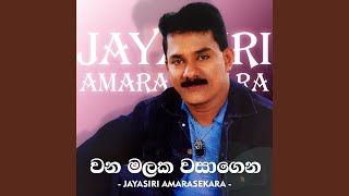 Wana Malaka Wasagena