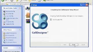 Installation of CellDesigner - English