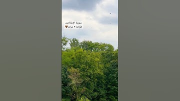 سورة الإخلاص | قل هو الله أحد| للقارئ #اسلام_صبحي #قران_كريم #viral #السعودية #muslim