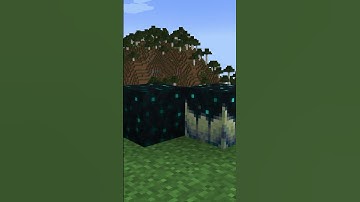 How to make Hidden Messages in Minecraft