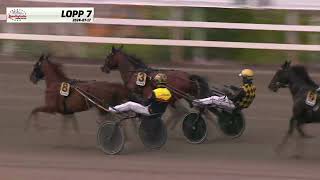 Vidéo de la course PMU PRIX DE SAVENAY