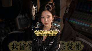 Wo Ceng Xiang Sha Zi Yi Yang Ai Ni 《我曾像傻子一样爱你》(I Once Loved You Like a Fool)