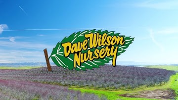 Digging our Bareroot trees