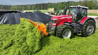 Grasernte 2023 Grünroggen für die Biogasanlage Lohnunternehmen im Einsatz 6 Traktoren 1 Häcksler