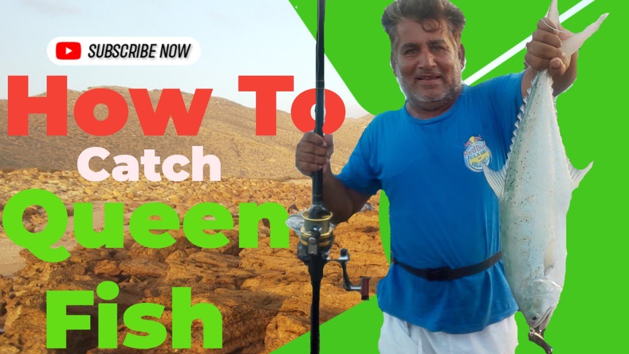 Surf Casting Video at Mubarak Village |Fishing Video |Fishing Game |Surf Fishing |Fishing|Beach Fish