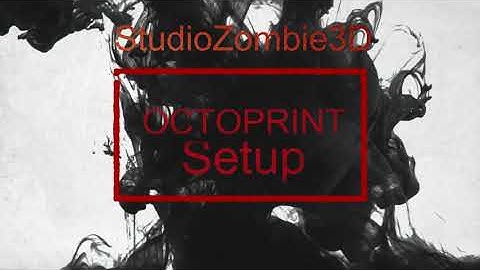 Octoprint setup Anycubic Vyper