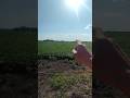 База, та цікавість через яку так далеко їхав #nature #metaldetecting