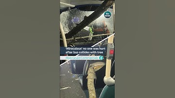 ‘Miraculous’ no one was hurt after bus collides with tree #kent #bus