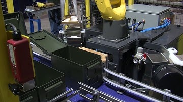 Right Stuff Equipment-Fanuc robots