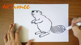 How to Draw a Beaver