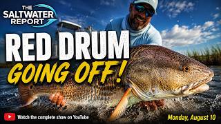 Red Drum Are Exploding Along the NC Coast