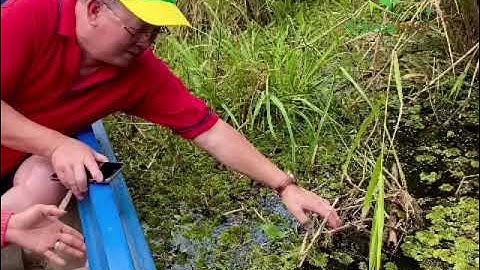 Du lịch Cà Mau trong ngày - Tour trải nghiệm U Minh Hạ cùng Đất Mũi Xanh