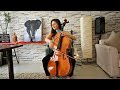 Cheryl edelman  asian theme  cello by vesislava