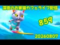 深夜のお家猫カフェライブ配信 ８５９