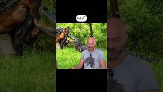 What does Nick think of Gator Face? #tobehooper #1970s #swamplife #animalcrueltyawareness
