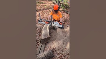 milling smaller black walnut log