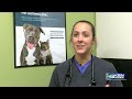 Wichita veterinarians sound the alarm on pet heat safety