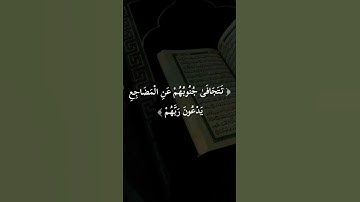 #ايات #سورة_السجدة #عبدالرحمن_مسعد #آيات #اكسبلور #لايك #قران_كريم #تيك_توك