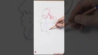 Тень на щеке в портрете - важно!