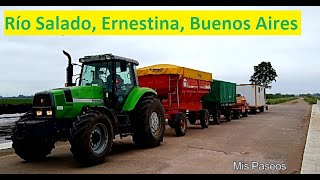 Río Salado, Ernestina, Buenos Aires (2016)