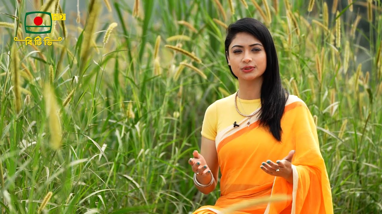 " সঙ্গীতা " - আধুনিক গানের অনুষ্ঠান  Songeeta