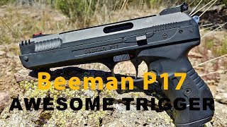 Beeman P17 - Affordable Plinker With an AWESOME TRIGGER!