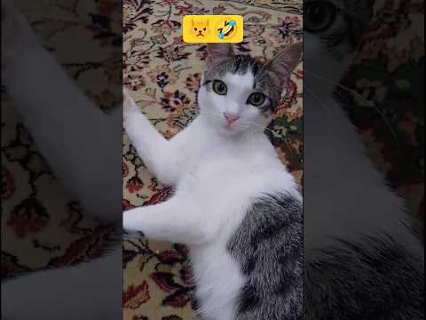 وقتی داری حموم می کنی یکی صدا درمیاره           