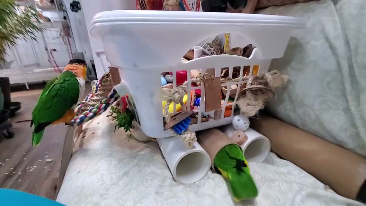 Here is some of today's 3rd recess ❤️🥰❤️ 