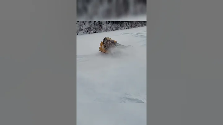 Braaap! The free world #shorts #youtubeshorts #braap #braaap