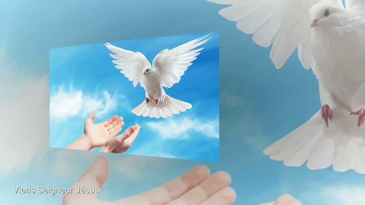 Prière pour recevoir la Puissance du Saint Esprit Effusion de l'Esprit