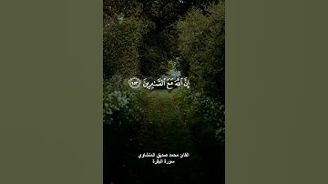 {يا أيها الذين آمنوا استعينوا بالصبر والصلاة إن الله مع الصابرين} القارئ المنشاوي