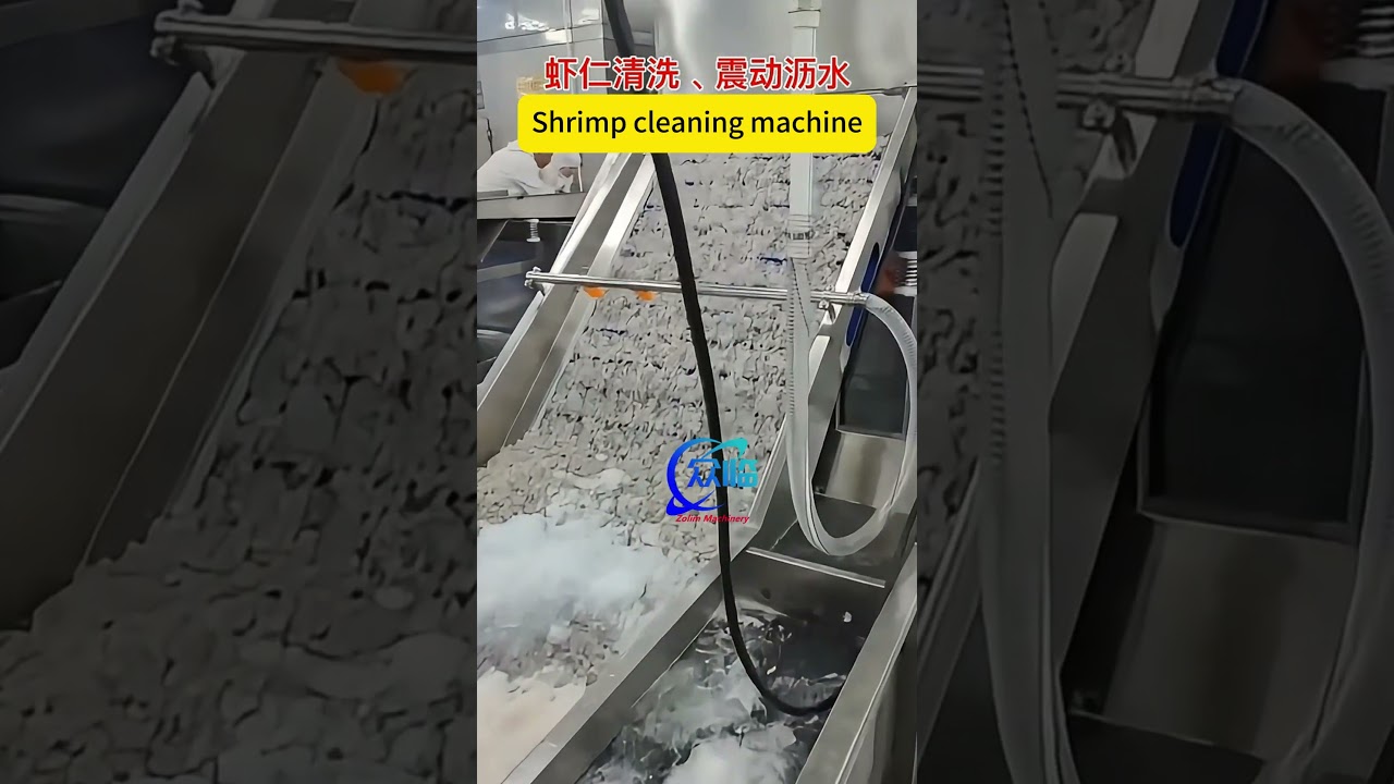 shrimp cleaning machine, prawn cleaning machine, shrimp washing machine, 