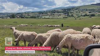 Čuvaj mi, Bože, sinove, sinove Sandžaka
