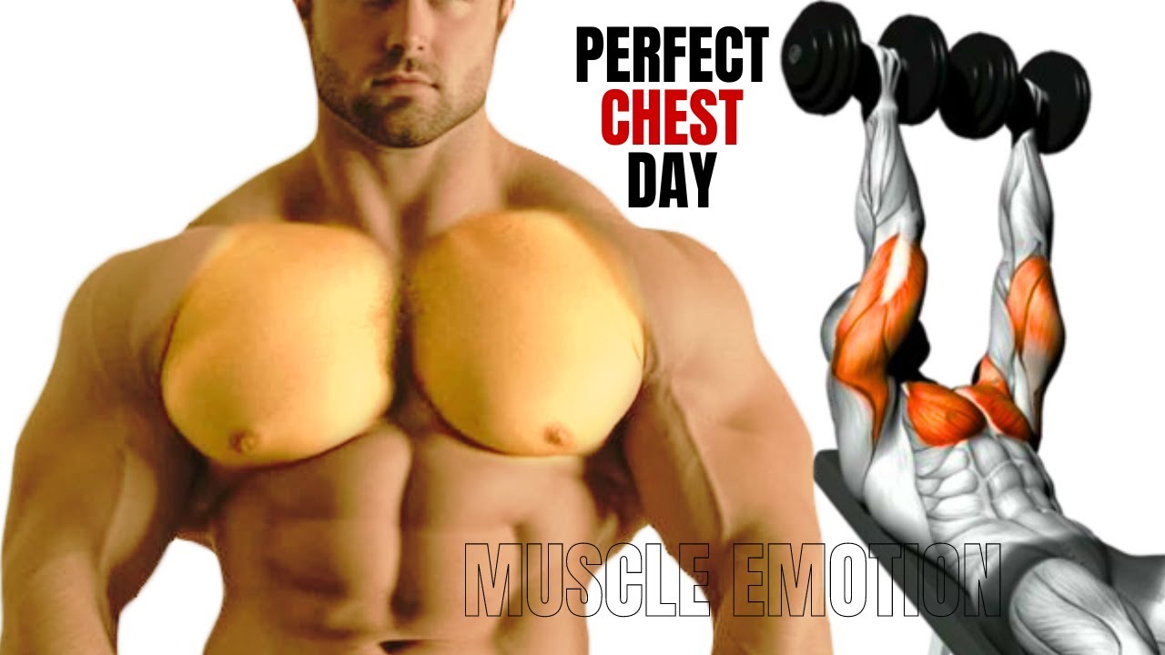 5 INNER ,LOWER AND UPPER CHEST WORKOUT AT GYM / Meilleurs exs