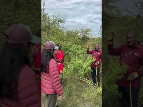 Ilora Retreats short film — Experiences, Masai Mara