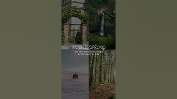 وَقالَ اللَّهُ لا تَتَّخِذوا إِلهَينِ اثنَينِ من سورة النحل بصوت الشيخ عادل ريان
