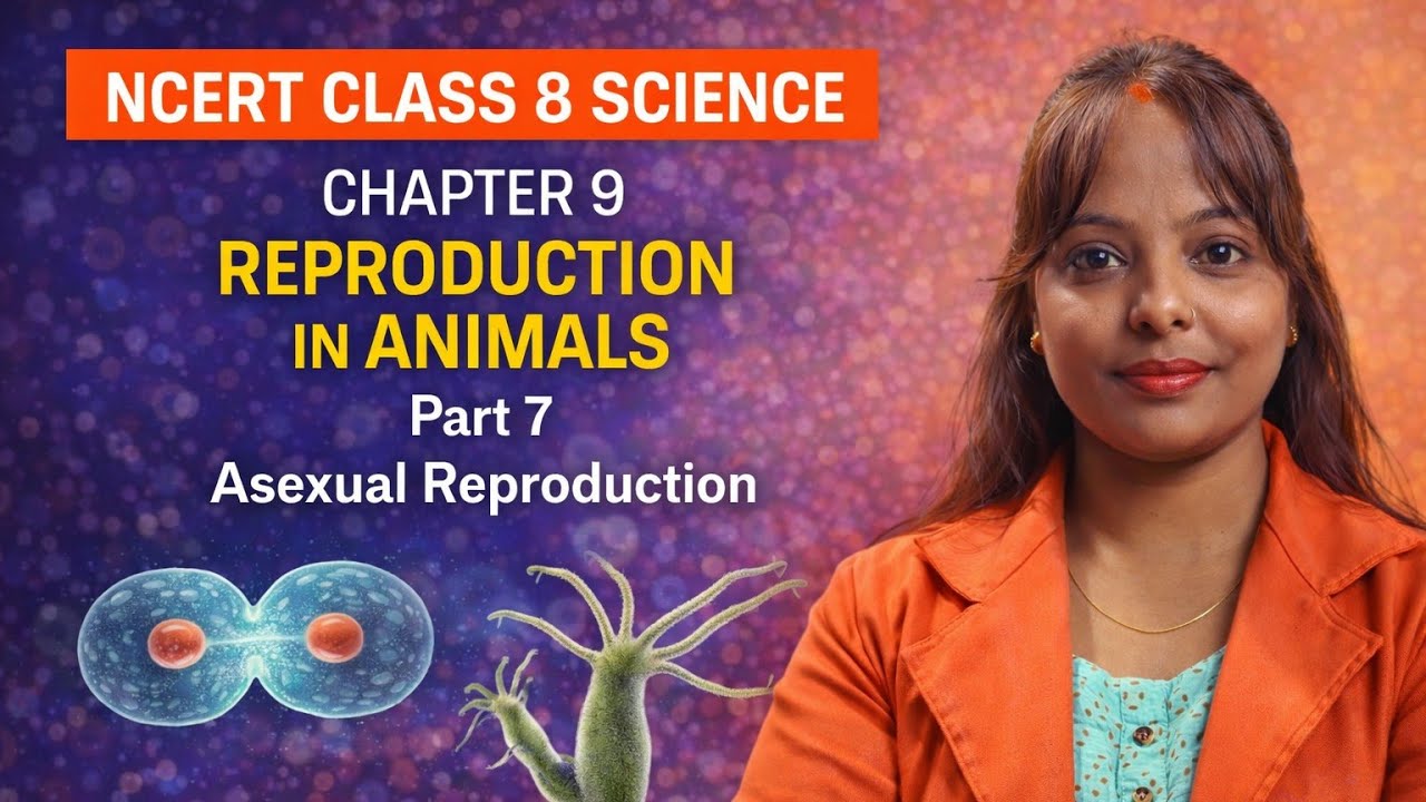 NCERT class 8 science chapter : 9 reproduction in animals part 7 asexual reproduction