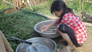 Making a fish pond edge with bamboo - everyday life, living with nature | orphan life