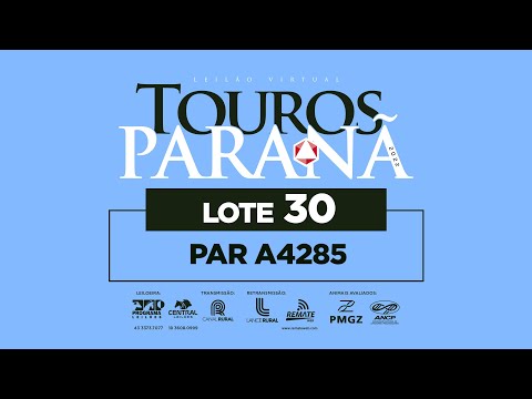 LOTE 30 PAR A4285