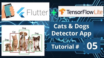 Download Trained Model for Cat vs Dog Detector App - Flutter Android & iOS Deep Learning Course 2021