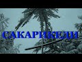 САКАРИКЕДИ. Грузия , один день из жизни.