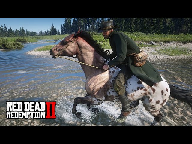 O DOMADOR DE CAVALOS - Em busca do CAVALO DA NEVE, o melhor cavalo do jogo  - Red Dead Redemption 2 