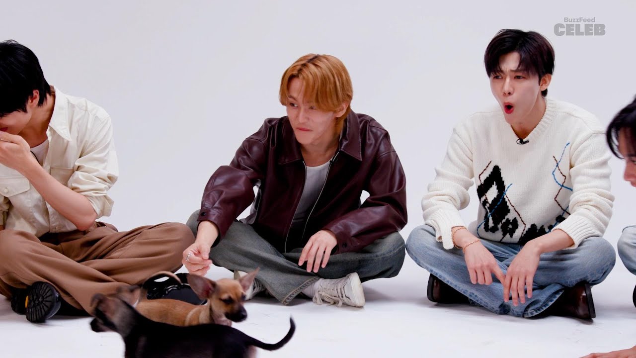 NCT DREAMが子犬と戯れながらインタビューに答えてくれた！（日本語字幕）NCT DREAM: The Puppy Interview
