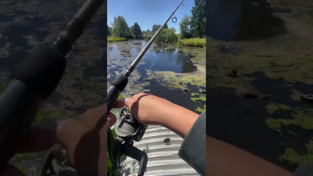 Bass fishing!!!